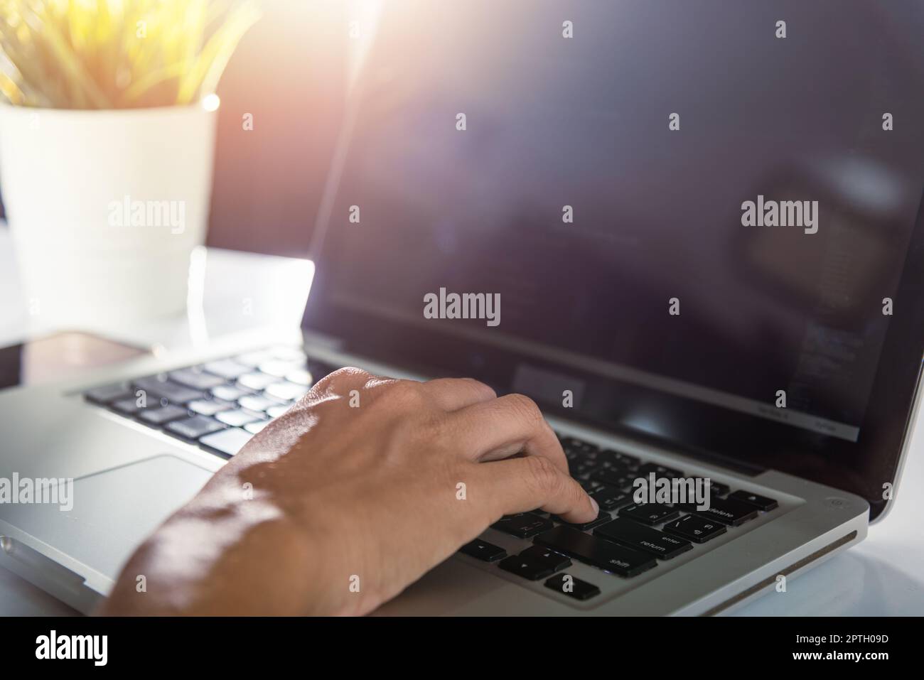 Web application development. programmer woman writing program code sitting at workplace in office, software developer hands coding HTML programming wi Stock Photo