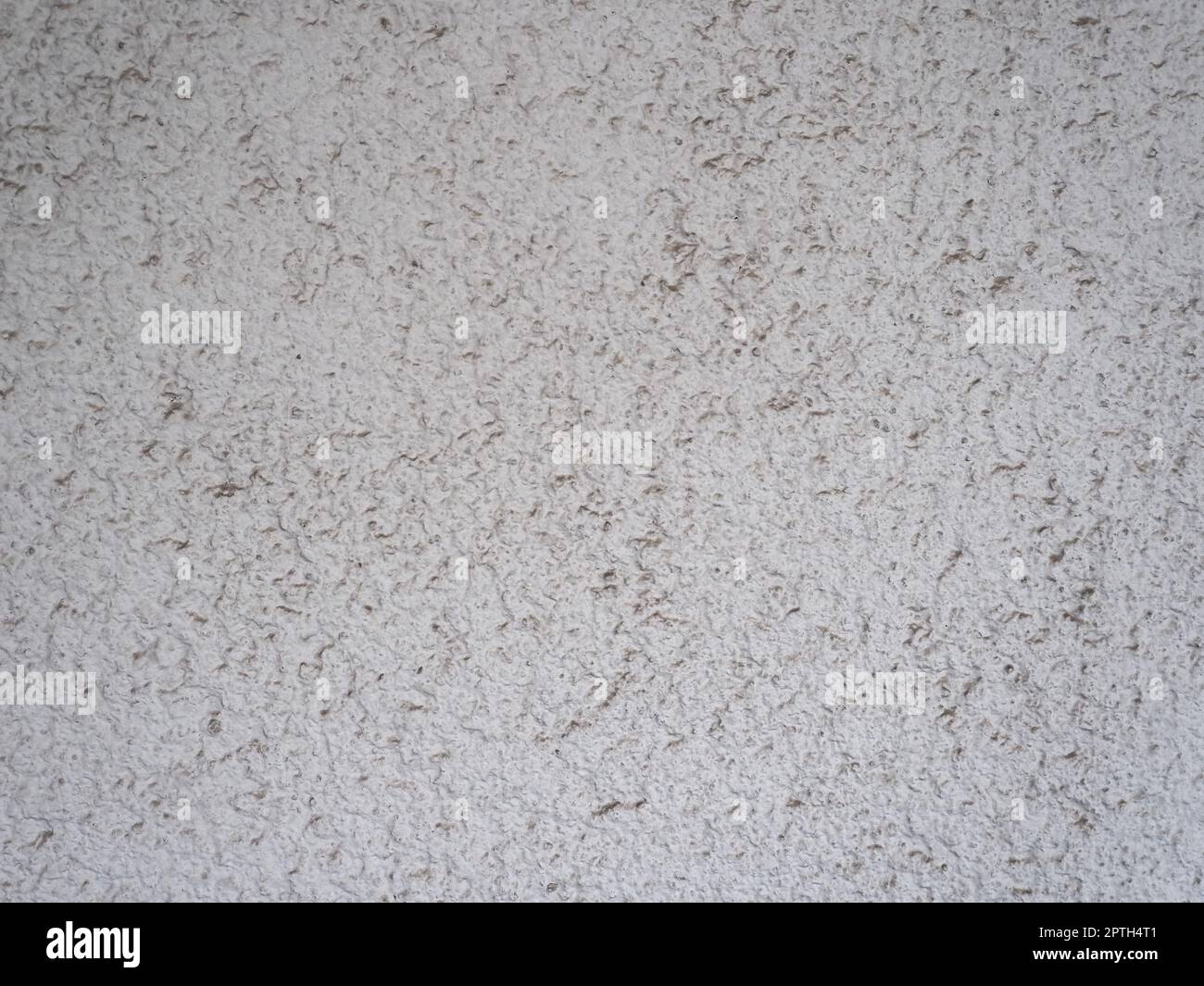 light grey plaster texture useful as a background Stock Photo