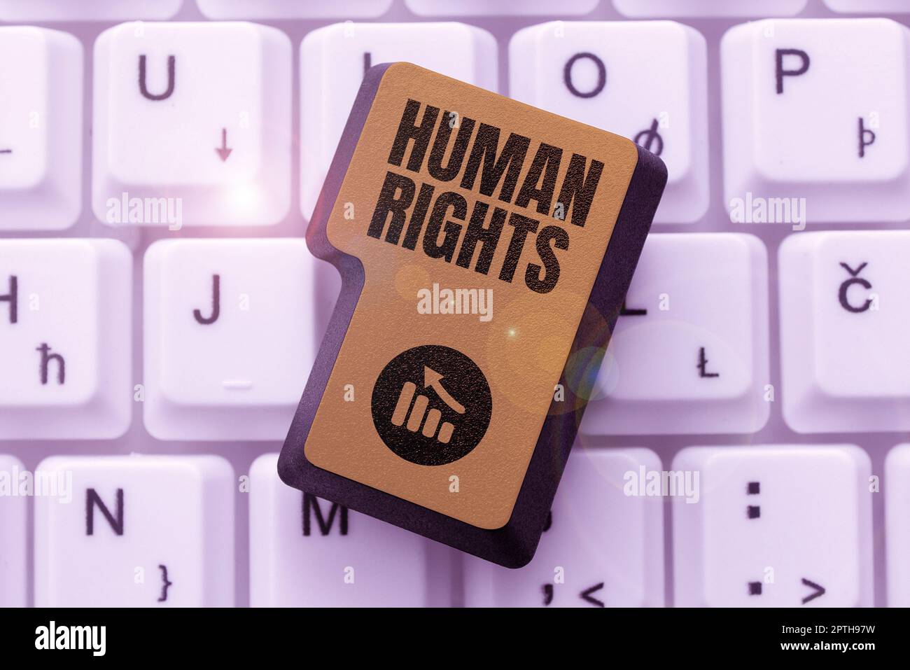 Text caption presenting Human Rights, Conceptual photo Moral Principles ...