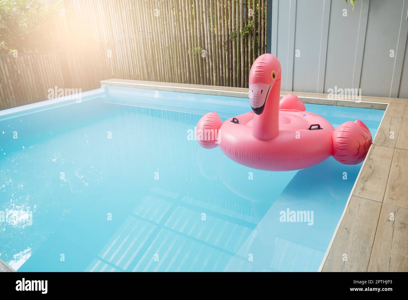 Pink inflatable ring flamingo plastic in the swimming pool blue water, Pool accessory equipment float for party, Trendy summer vacation feeling concep Stock Photo