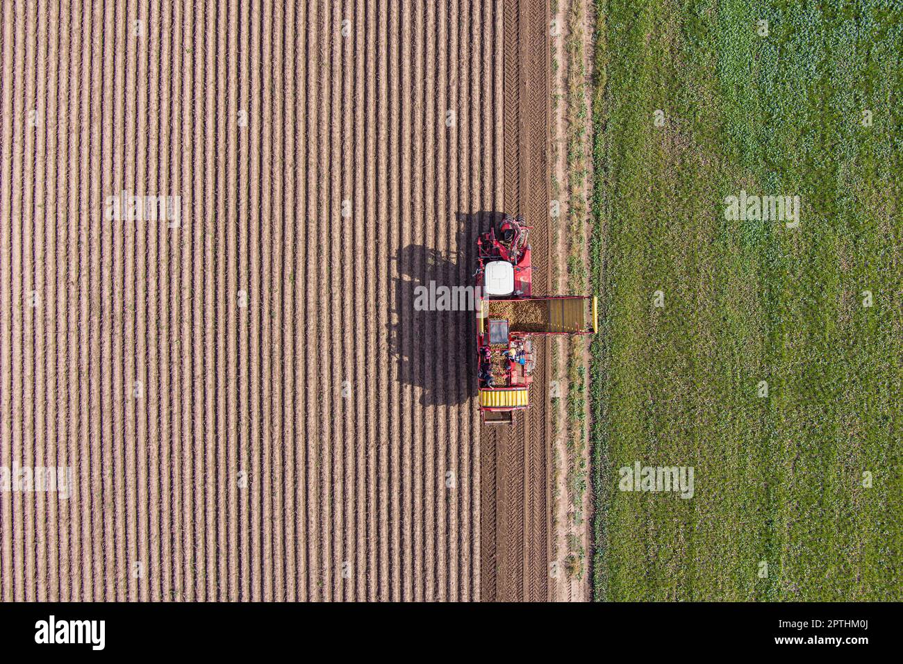 Farmers machinery harvest potatoes aerial hi-res stock photography and ...