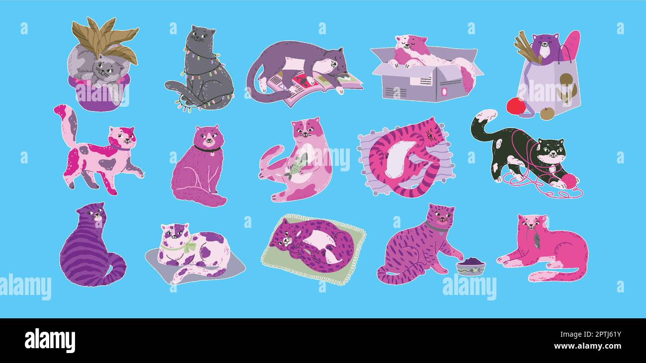 Cute cats funny kittens sleep play sit catch mouse kitty in various