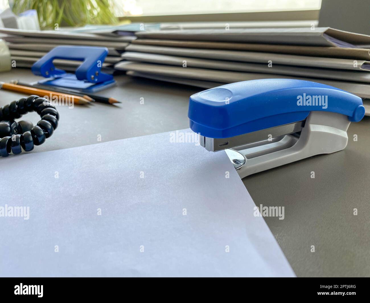 A large blue stapler for stapling paper lies next to the folders of
