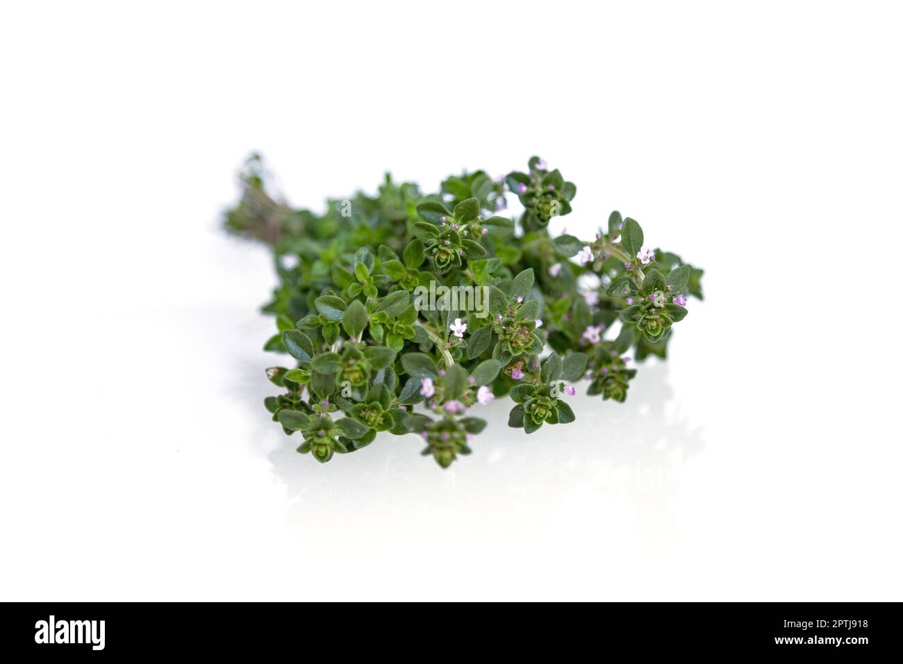 Fresh thyme bunch isolated on white background Stock Photo