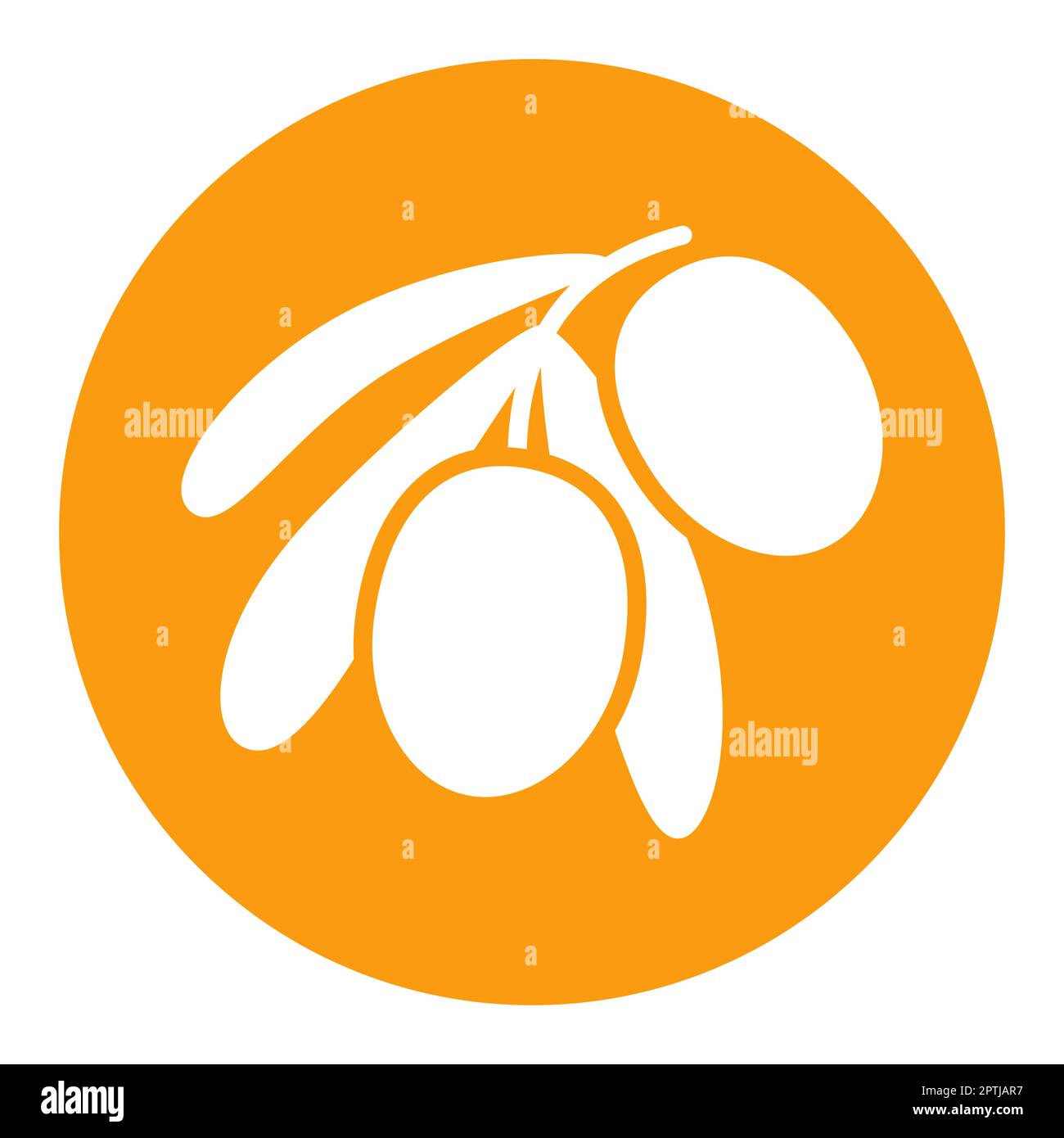 Olive branch, leaves and olives vector icon Stock Vector