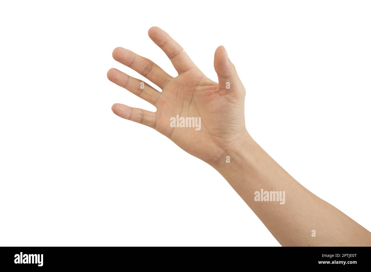 Young man hand isolated on white background included clipping path. Stock Photo
