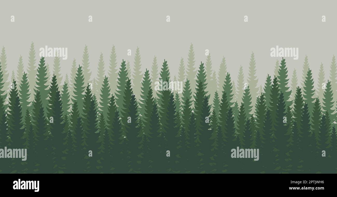 Panorama of dense forest, fir and pine natural green landscape, web ...
