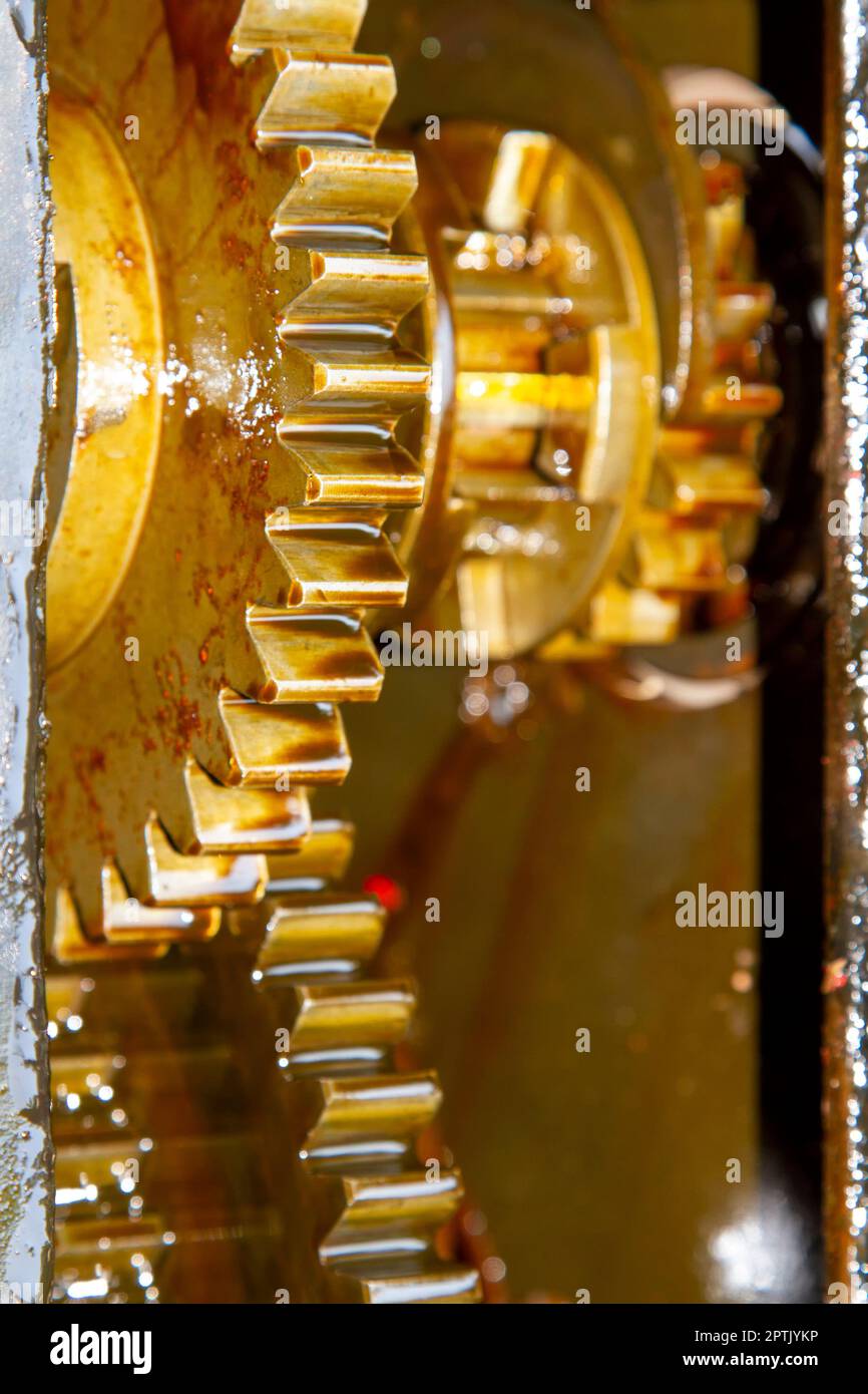 Gears with oil of service transmission gear Stock Photo Alamy