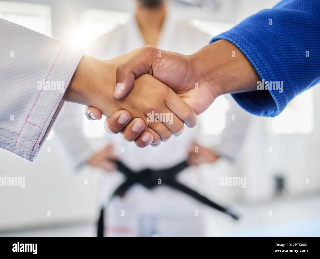 Handshake, karate and sports with a man and woman fighter shaking hands