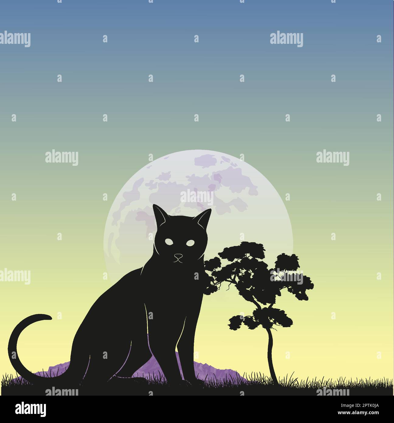 Black cat full best sale moon