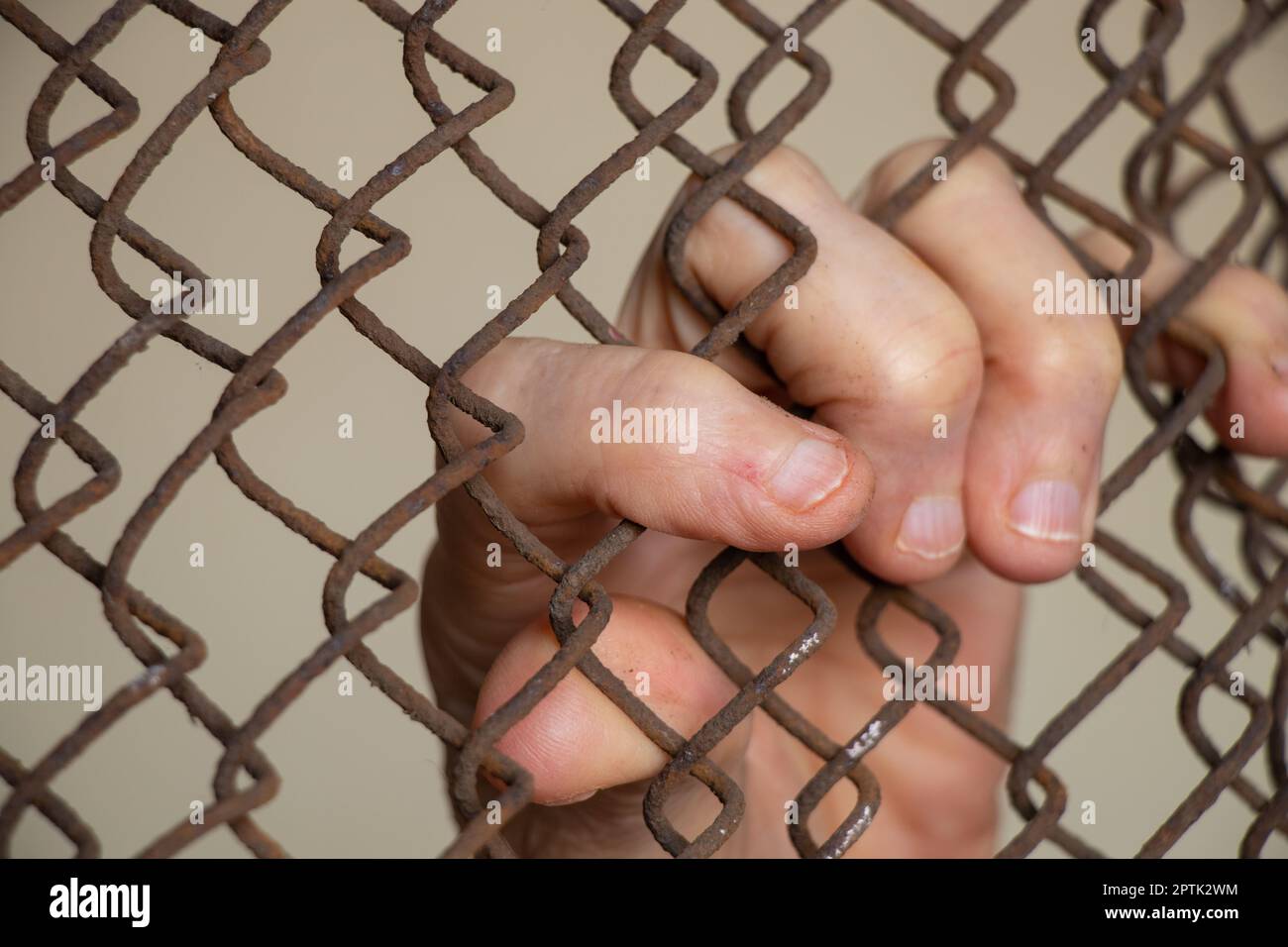 old female hands hang on a fence made of iron mesh in a lock Stock Photo