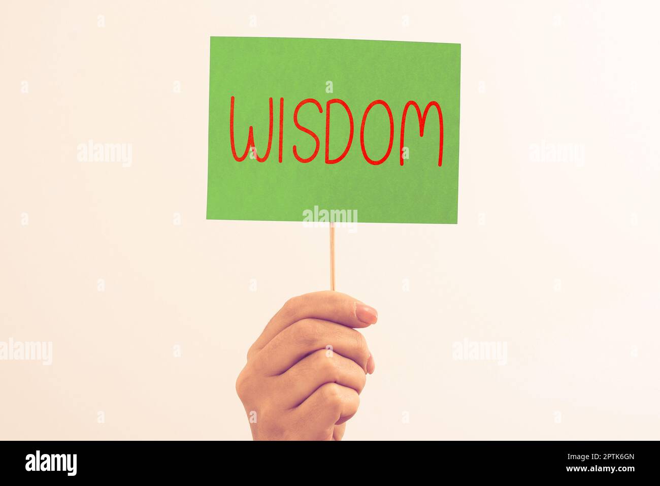 Inspiration showing sign Wisdom, Business overview body of knowledge and principles that develops within specific period Stock Photo
