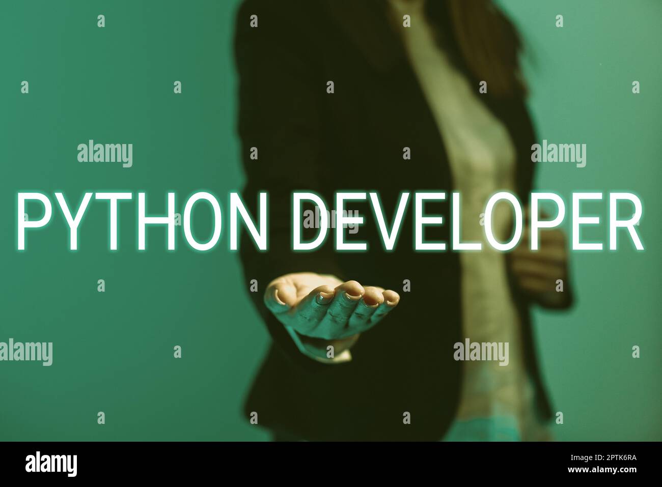 Text caption presenting Python Developer, Concept meaning responsible for writing serverside web application logic Stock Photo