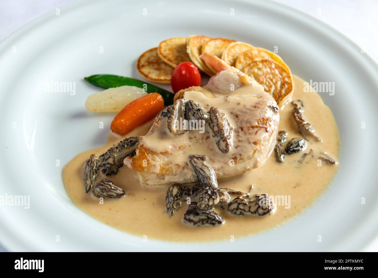 Traditional french plate named chicken with morels and cream Stock