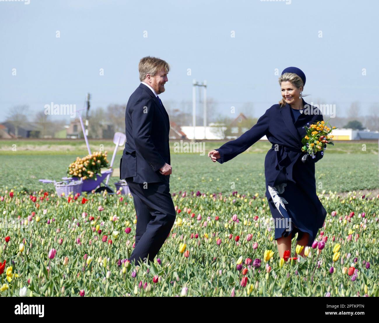 dancing queen Maxima in the Dutch tulips Stock Photo