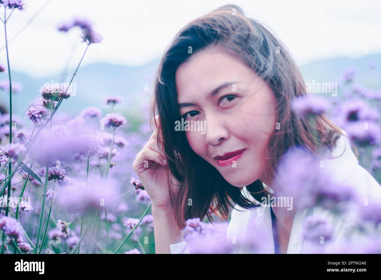 Women in the Verbena field are blooming and beautiful in the rainy