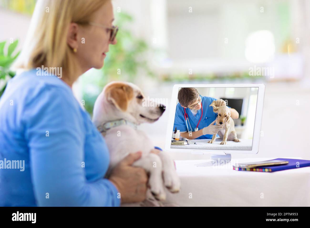 On call veterinarian near sales me