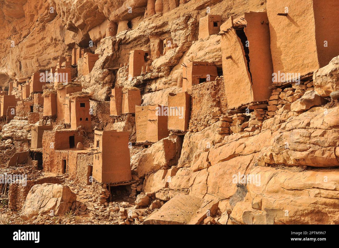 Nicolas Remene / Le Pictorium -  Ende Bandiagara region Dogon Country -  1/11/2010  -  Mali / Bandiagara / Teli  -  The Telem dwellings in the village Stock Photo