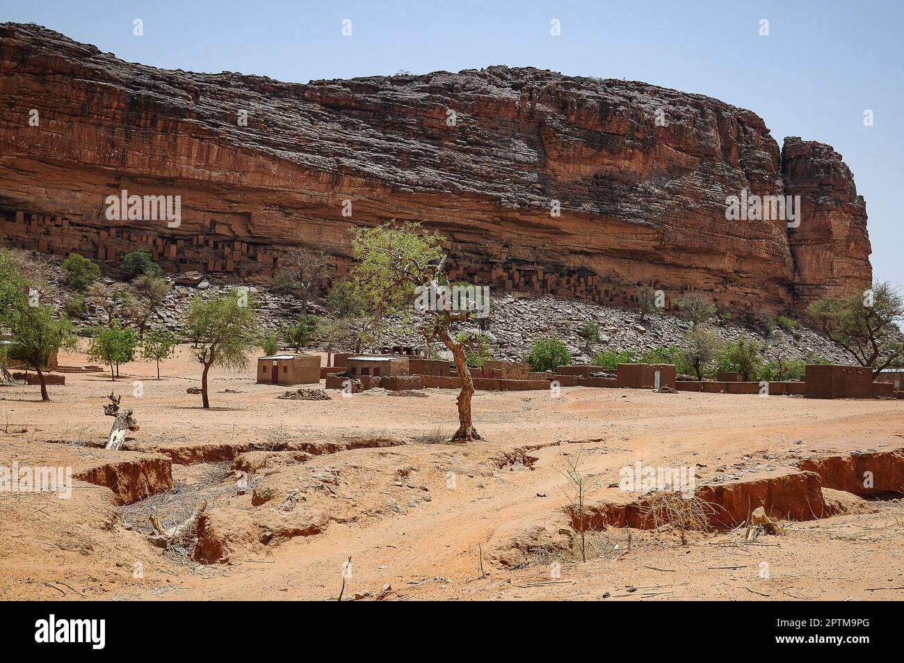 Nicolas Remene / Le Pictorium -  Ende Bandiagara region Dogon Country -  8/5/2010  -  Mali / Bandiagara / Ende  -  View of the Bandiagara cliff in Dog Stock Photo