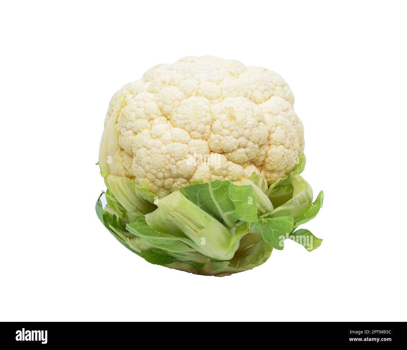 Whole cauliflower head isolated on white background Stock Photo Alamy