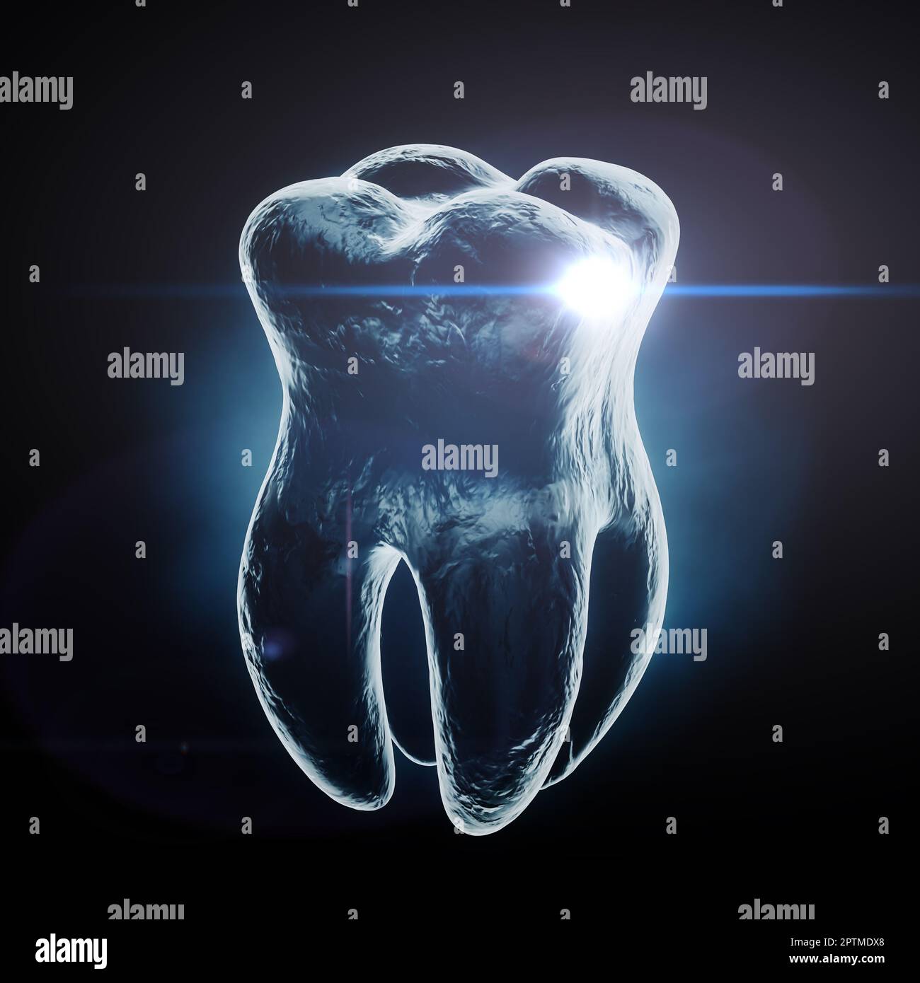 Wisdom tooth ray hi-res stock photography and images - Page 2 - Alamy