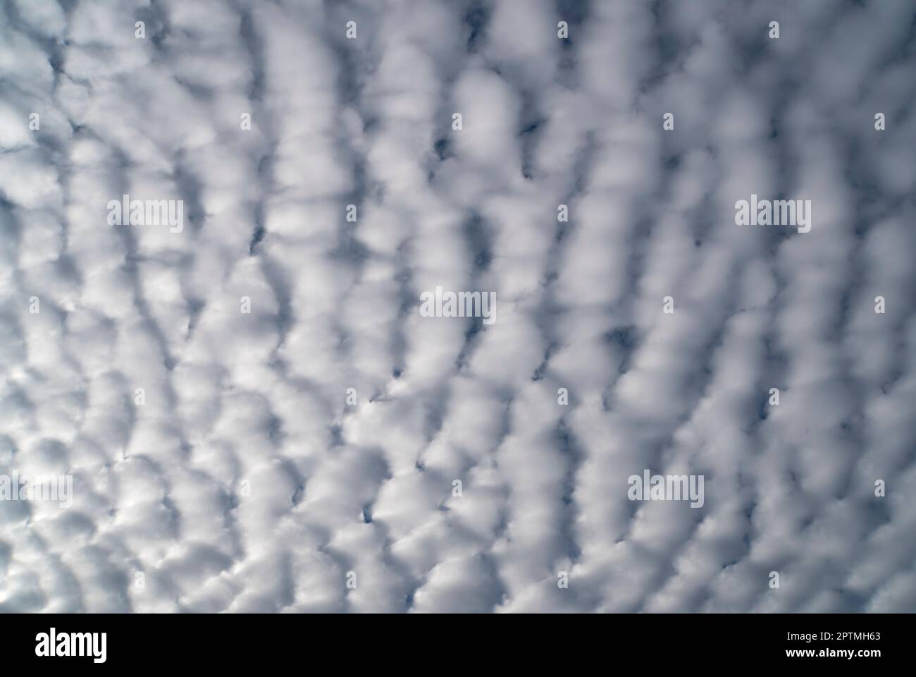White mackerel clouds against blue sky in daylight Stock Photo
