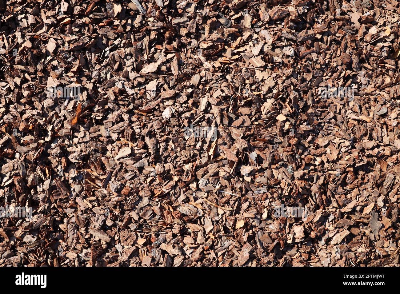 Full frame closeup of brown mulch used for gardening and landscape decoration. Texture of Birch mulch bark for garden. Closeup of wood chip path cover Stock Photo