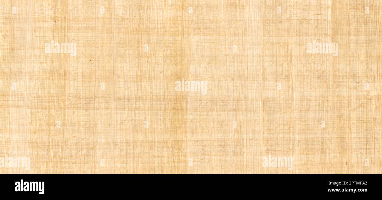 bright papyrus paper texture with border Stock Photo - Alamy