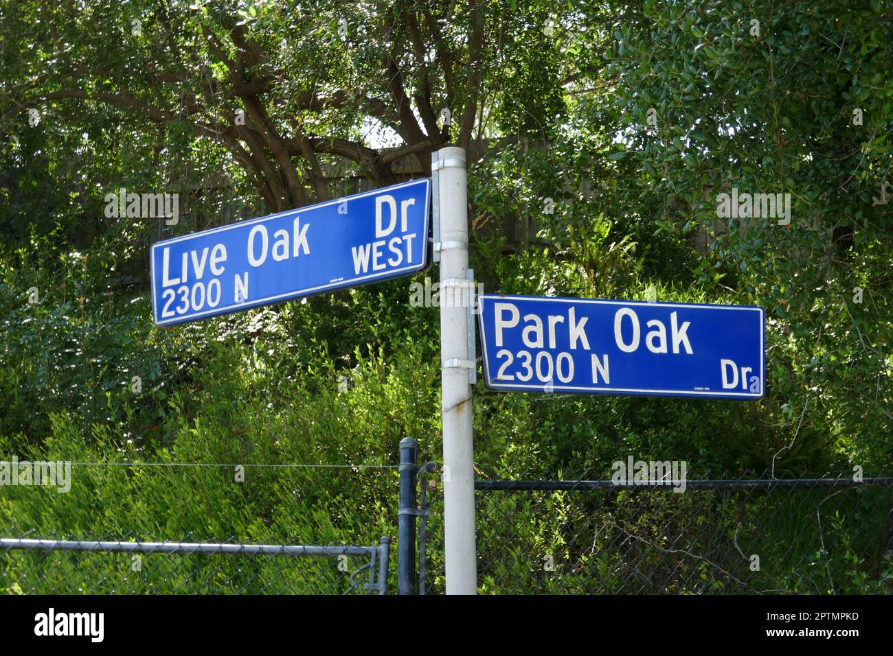 Los Angeles, California, USA 27th April 2023 Live Oak Drive and Park