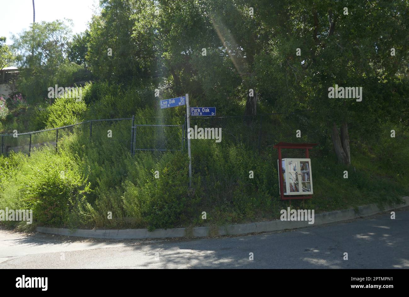 Los Angeles, California, USA 27th April 2023 Live Oak Drive and Park