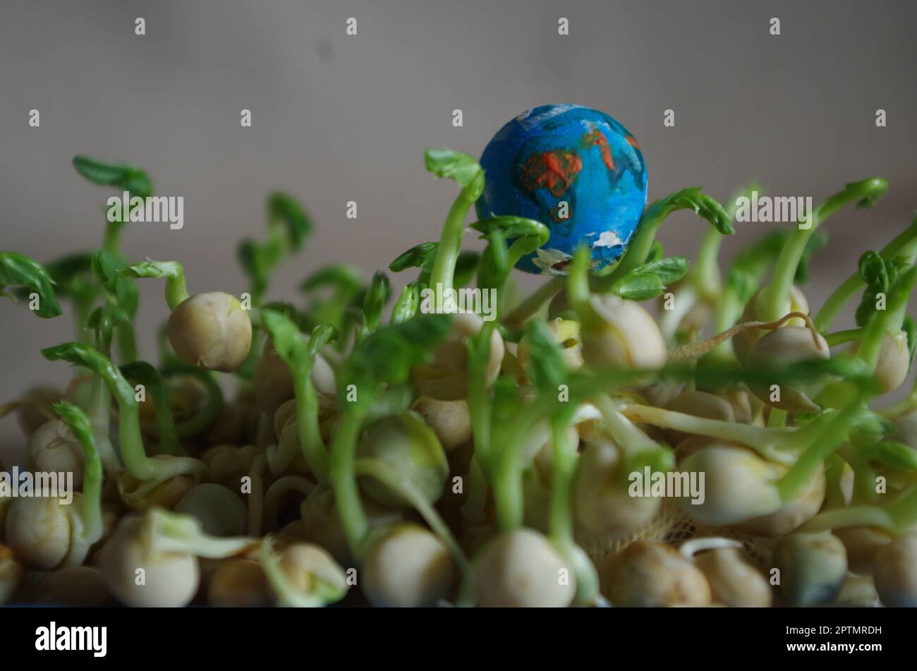 Unser planet erde hi-res stock photography and images - Alamy