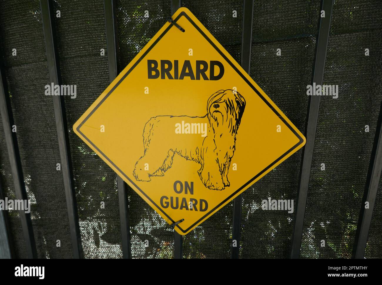 Los Angeles, California, USA 27th April 2023 Briard Dog on Board Sign in The Oaks on April 27, 2023 in Los Angeles, California, USA. Photo by Barry King/Alamy Stock Photo Stock Photo