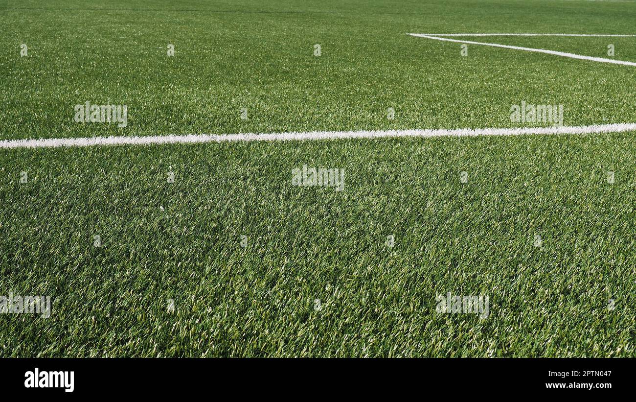 soccer field for championship.The marking of the football field on the