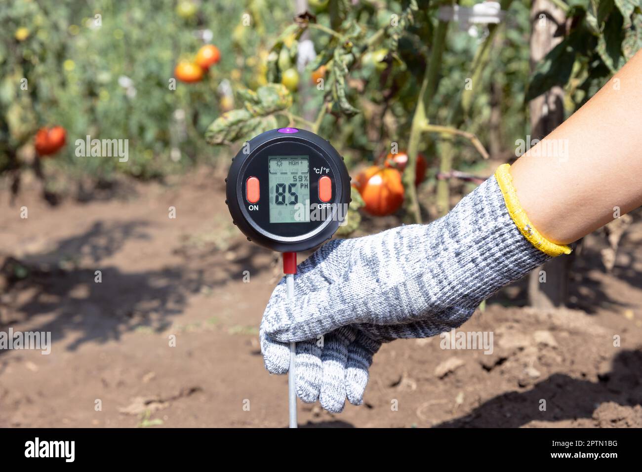 Soil pH, environmental illumination and humidity quality measurement in a vegetable garden Stock Photo