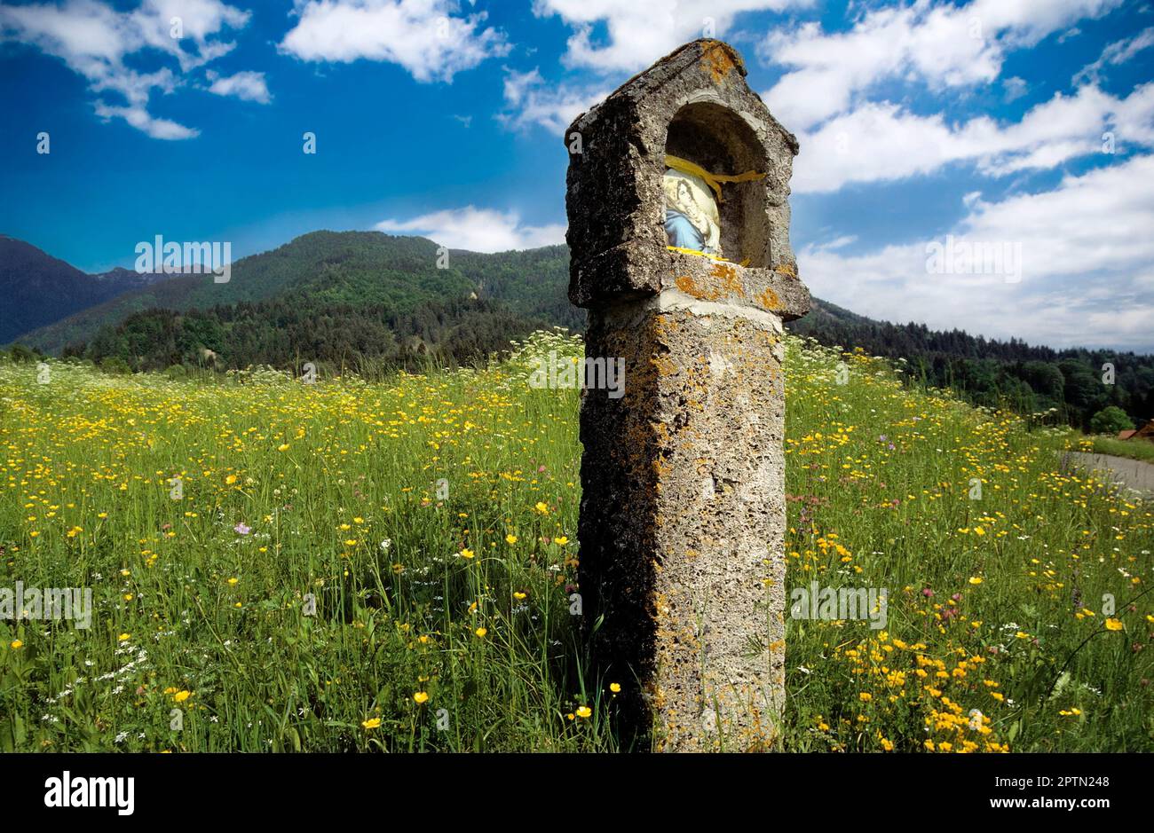 Italy Friuli V. Giulia Carnia Province of Udine Plateau Of But Valley Stock Photo