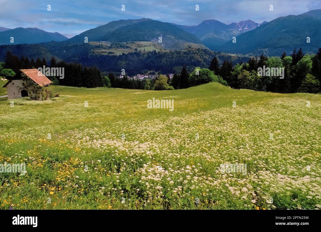 Italy Friuli V. Giulia Carnia Province of Udine  Sutrio Plateau Of But Valley Stock Photo