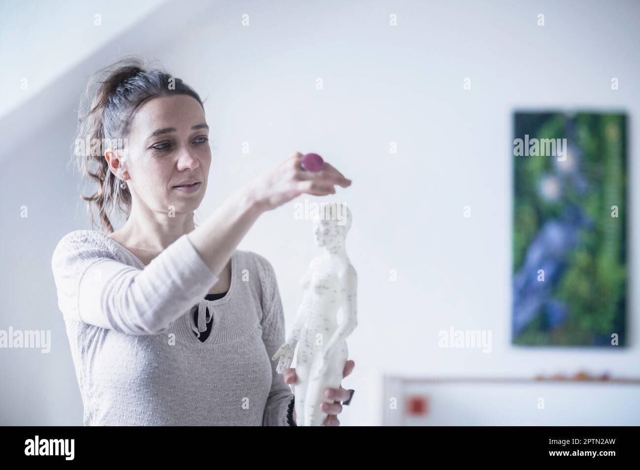 Female acupuncturist applying needles on acupuncture model, Freiburg im