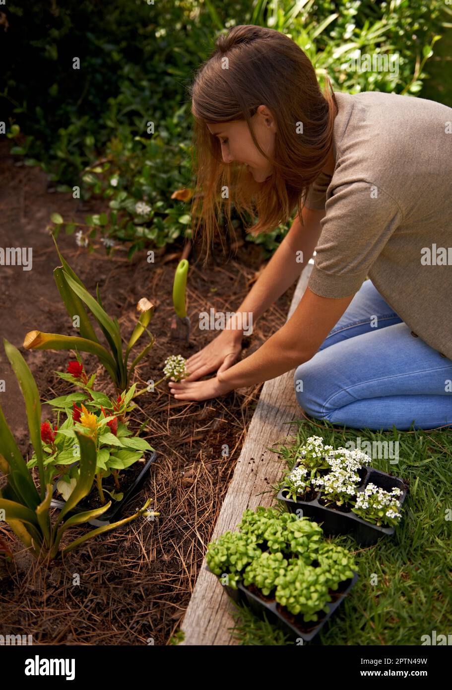 Staying in touch with her inner gardner. A young woman gardening Stock Photo