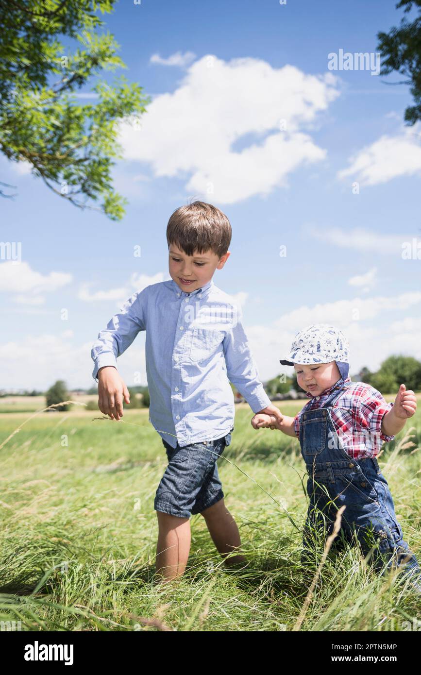 Small boy holding hand of his brother through a meadow in the countryside, Bavaria, Germany Stock Photo