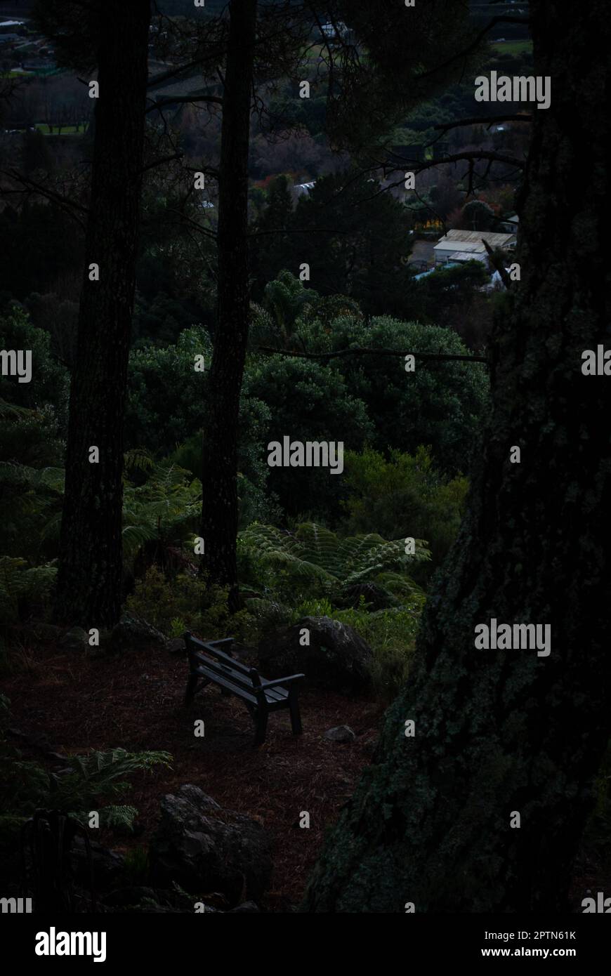 once sat on this very bench, a whole life left behind: Shot at Te Puna quarry park, NZ Stock Photo