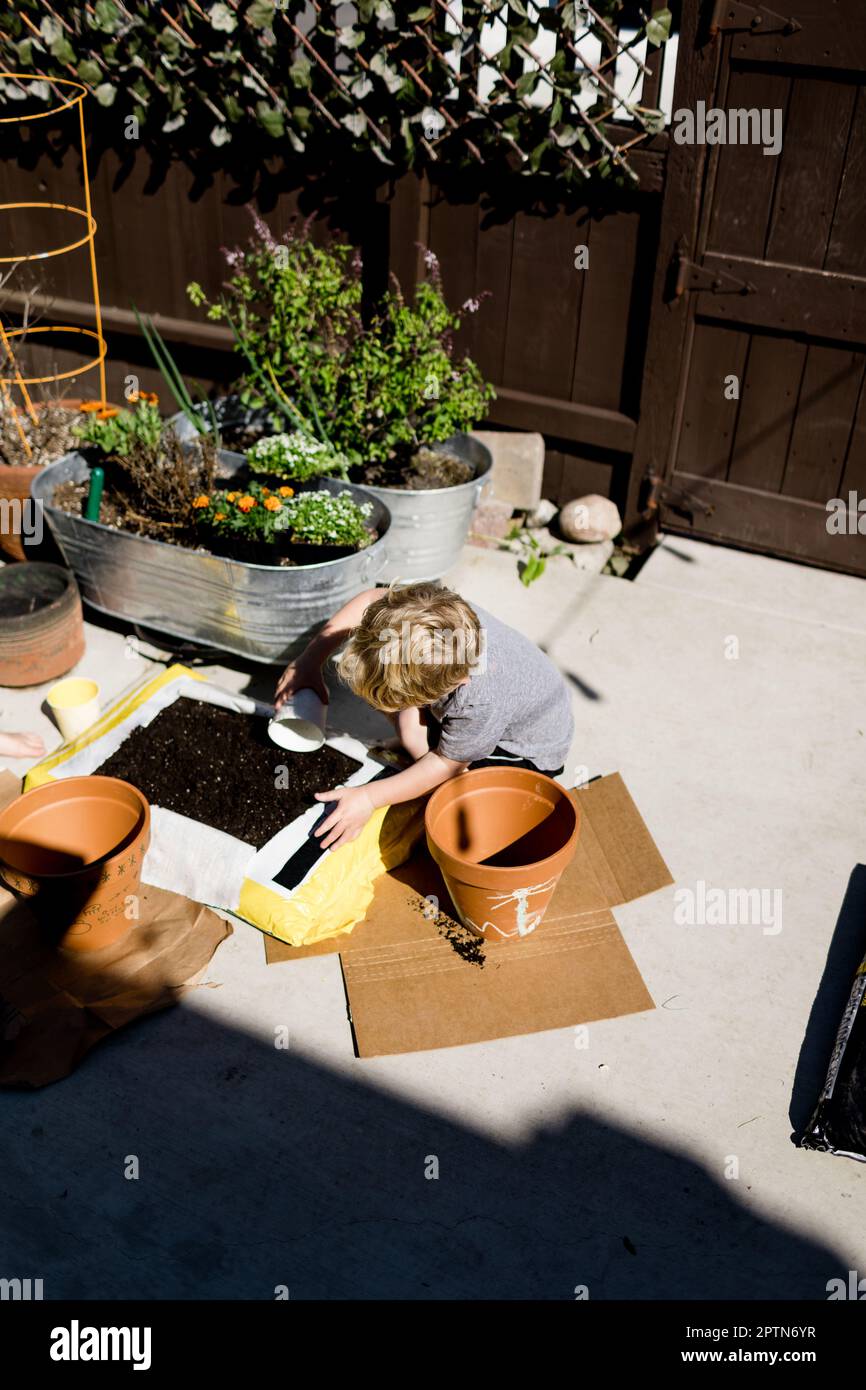 Four Year Old Boy Planting Flowers in San Diego Stock Photo Alamy