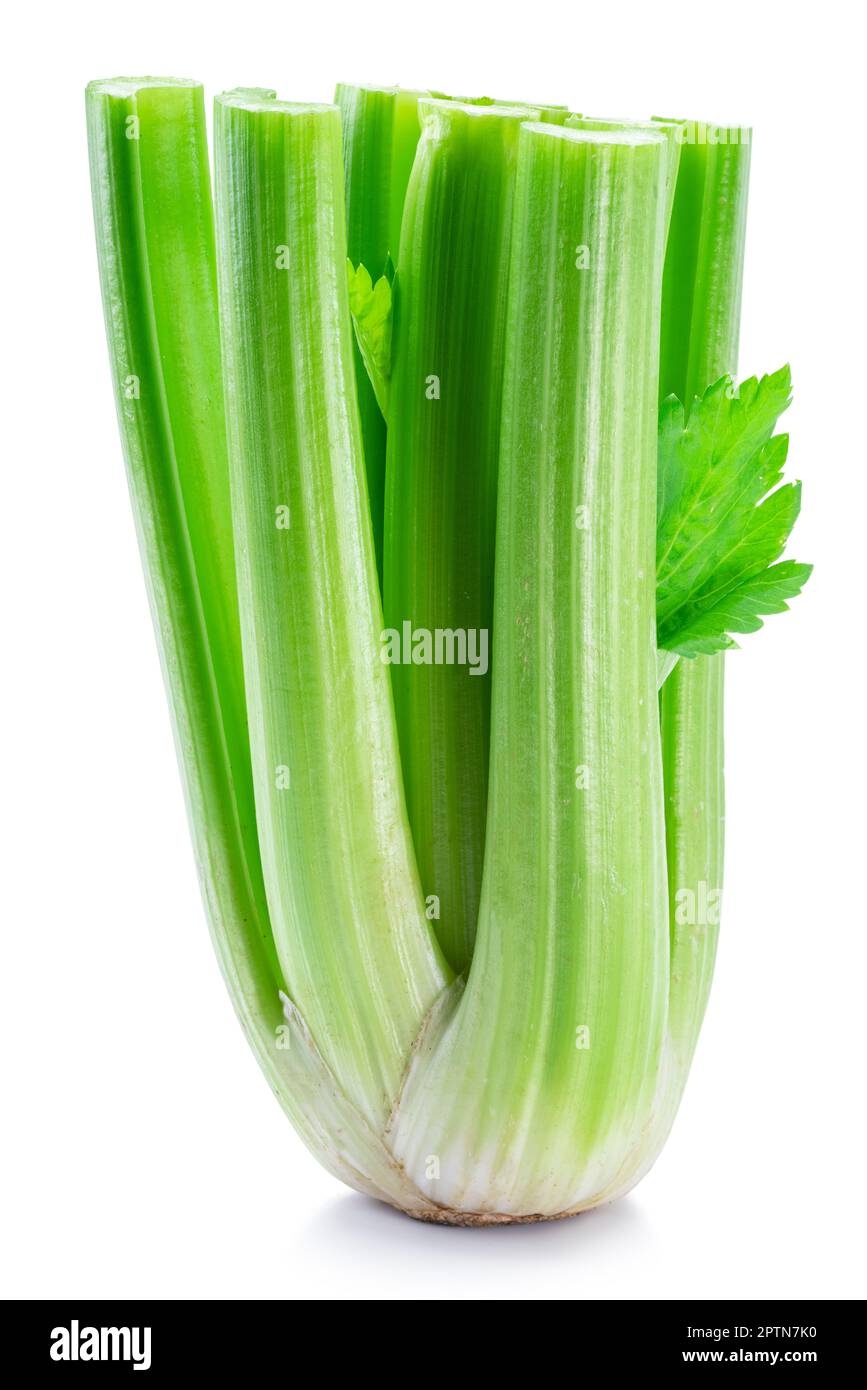 Celery stalk cross section hires stock photography and images Alamy
