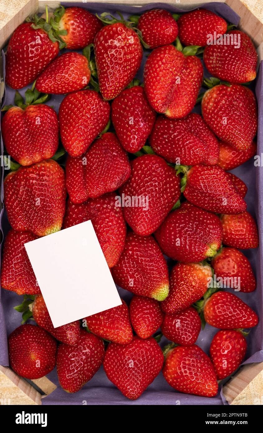 still life of strawberries with a label for text Stock Photo - Alamy