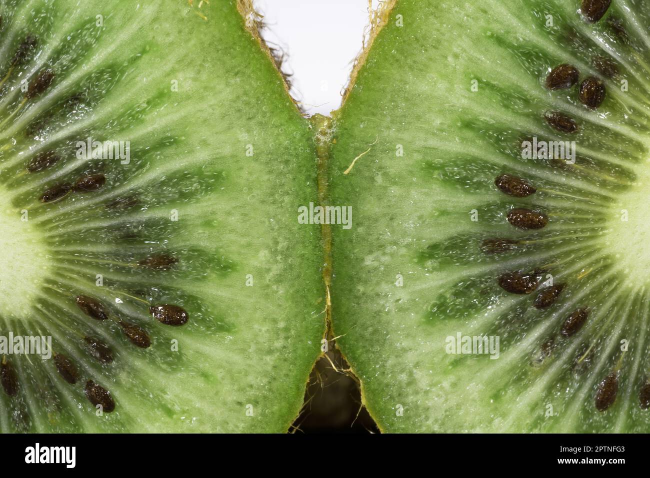 foto macro di un bel kiwi verde, kiwi verde in primo piano Stock Photo