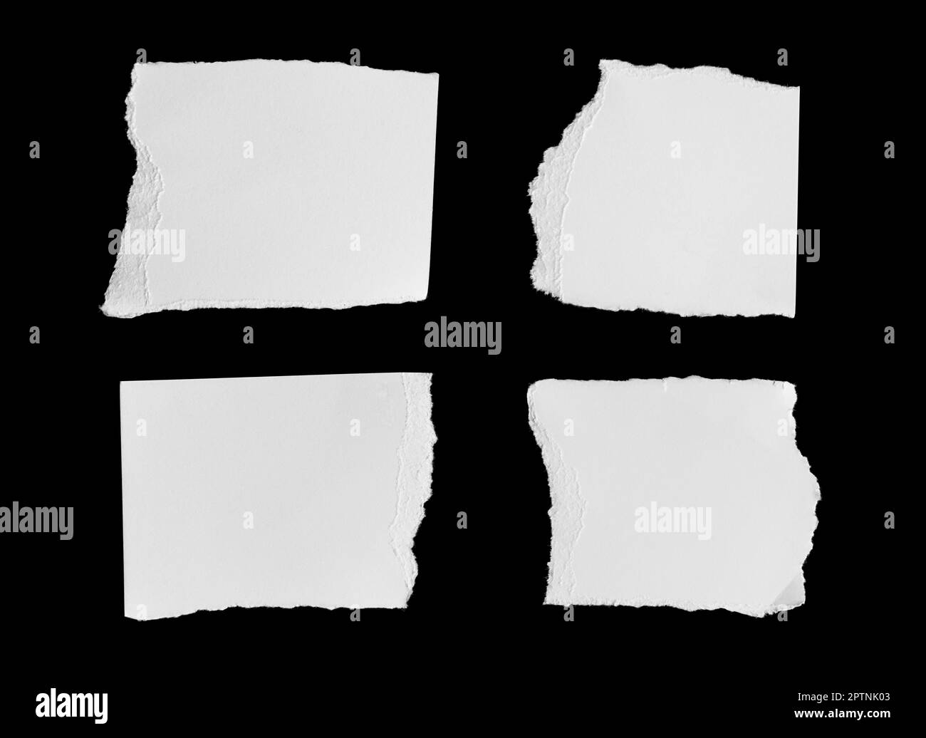 Set of White ripped piece of paper isolated on black background with clipping path. Stock Photo
