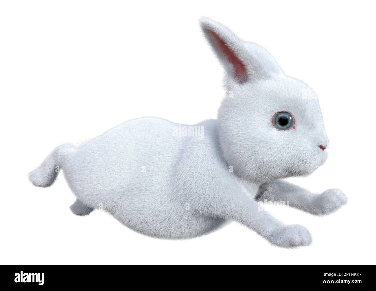 3D rendering of a white bunny isolated on white background Stock Photo ...