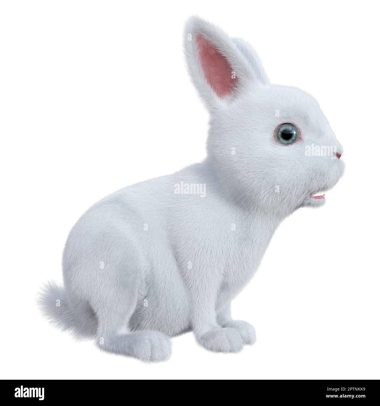3D rendering of a white bunny isolated on white background Stock Photo ...