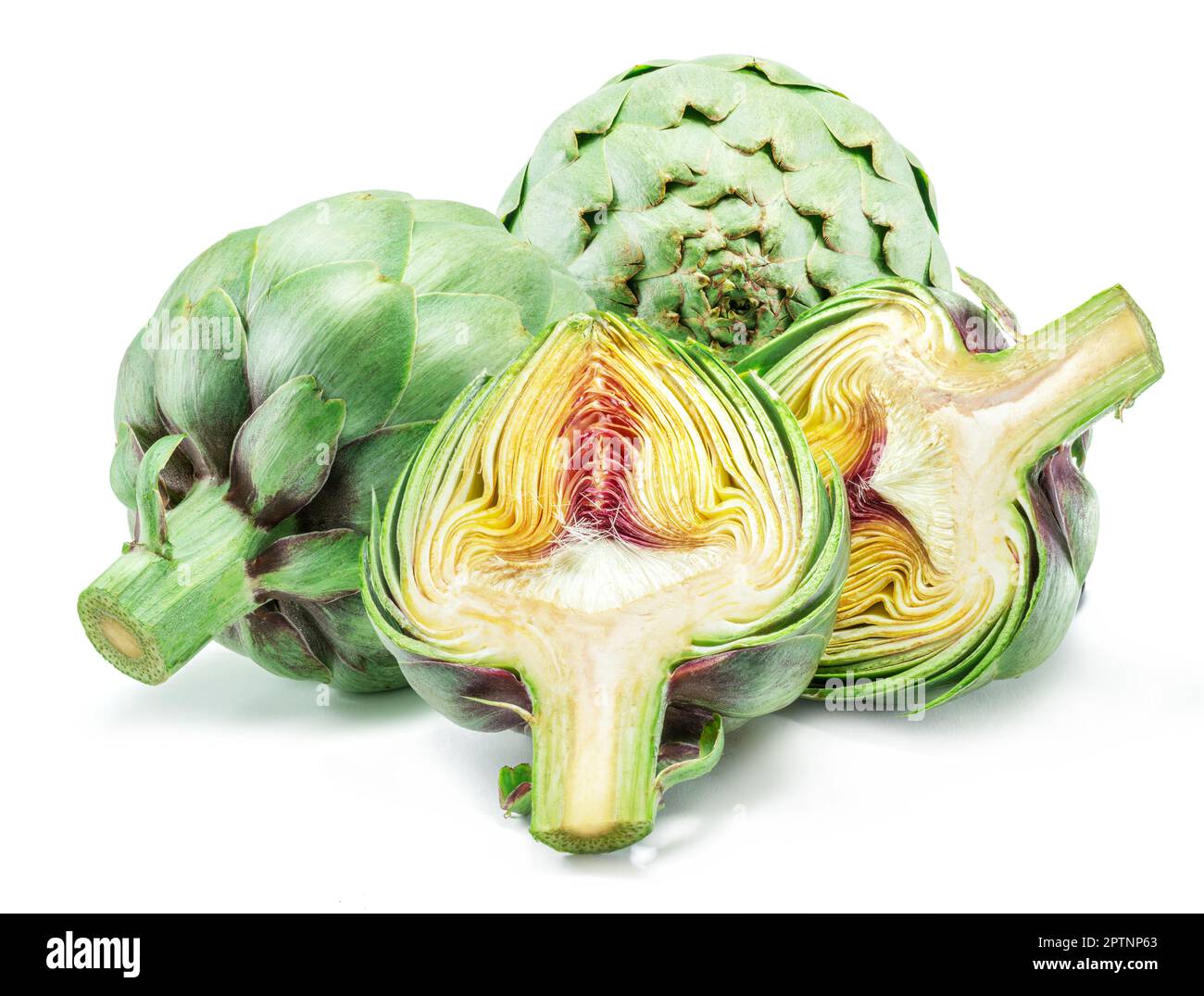 Green artichokes and artichoke hearts isolated on white background