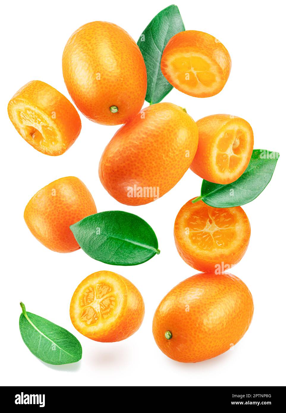 Kumquat fruit and cross cut of kumquat with leaves falling down on