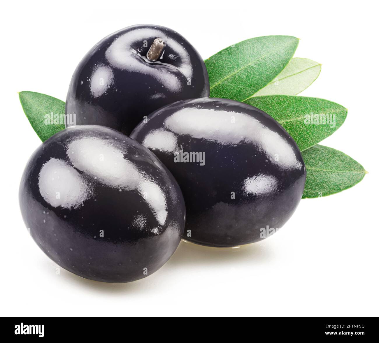 Three whole black olives with green leaves isolated on white background. Stock Photo